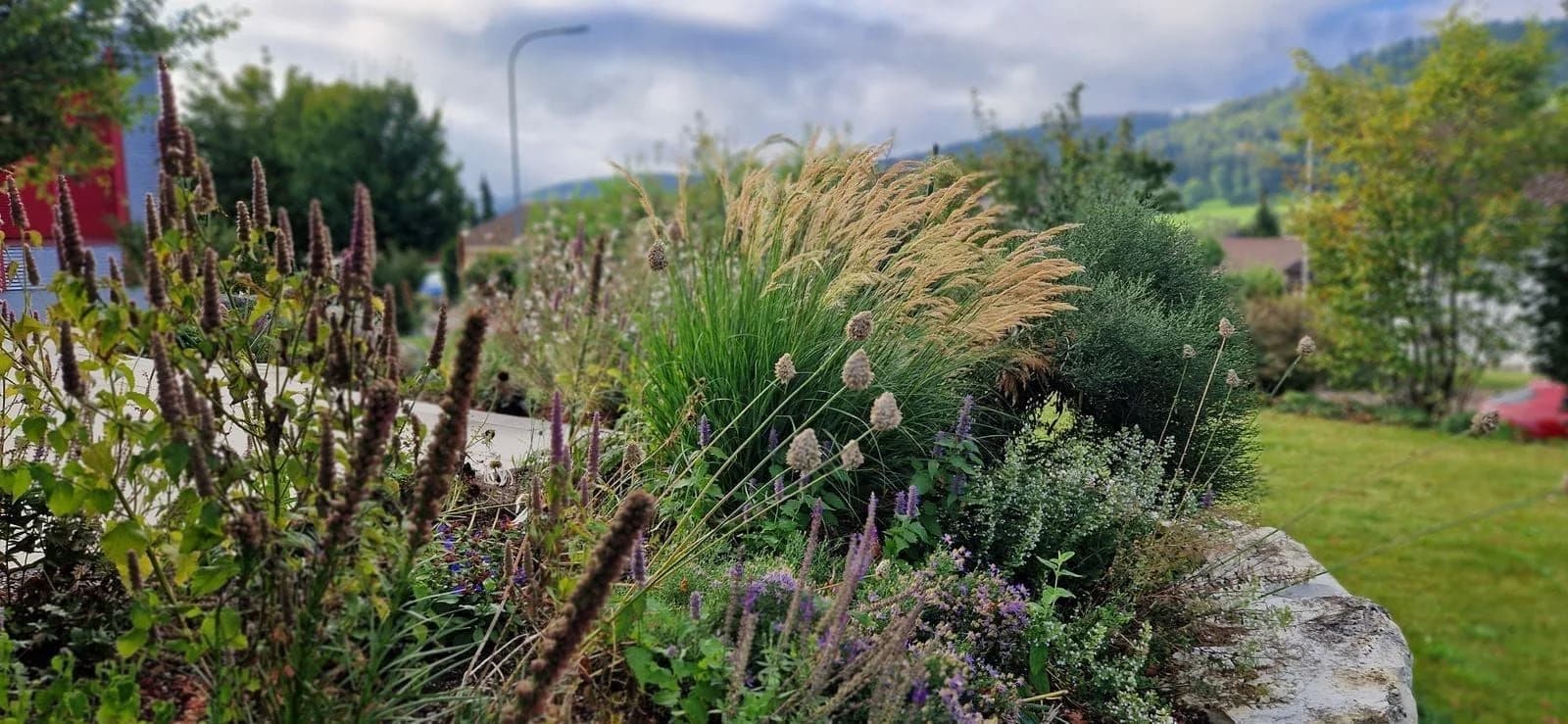 Gartenbau, Umänderungen & Neugestaltung